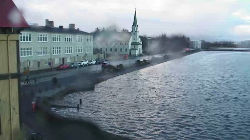 Reykjavíkurtjörn right now