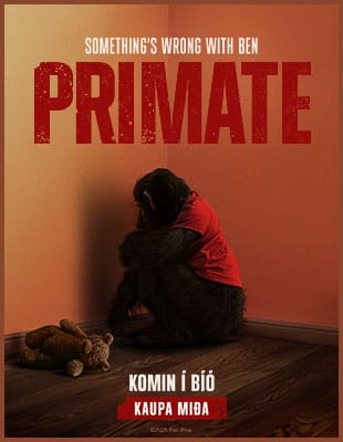 Primate