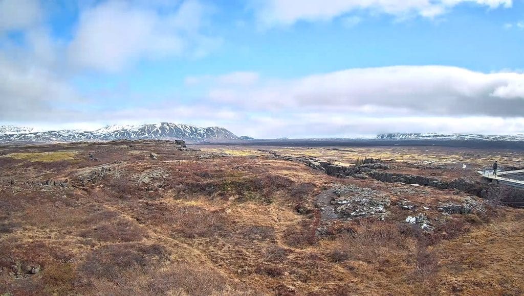 Hak - Skjaldbreiður